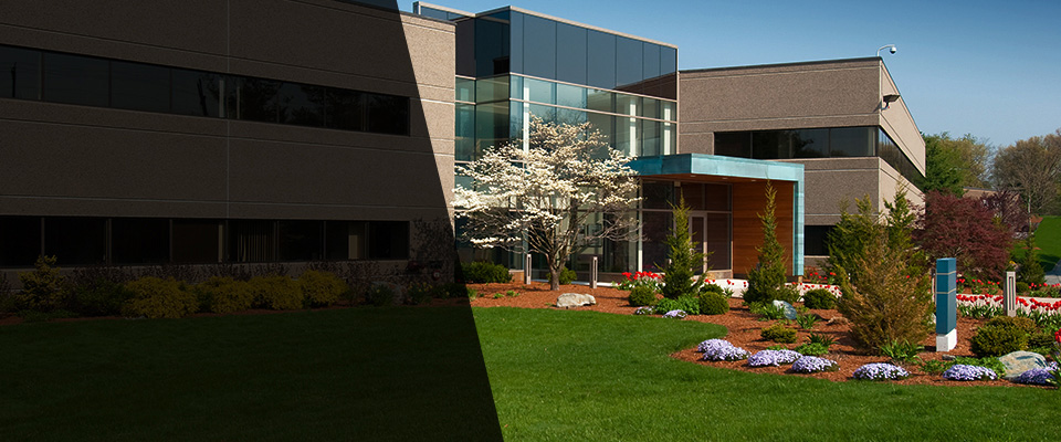 Louisville Landscapers