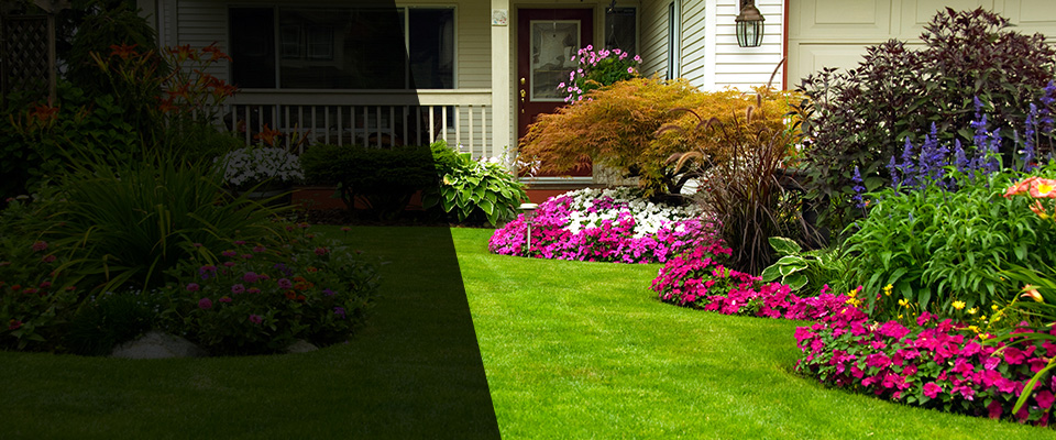 Louisville Landscapers