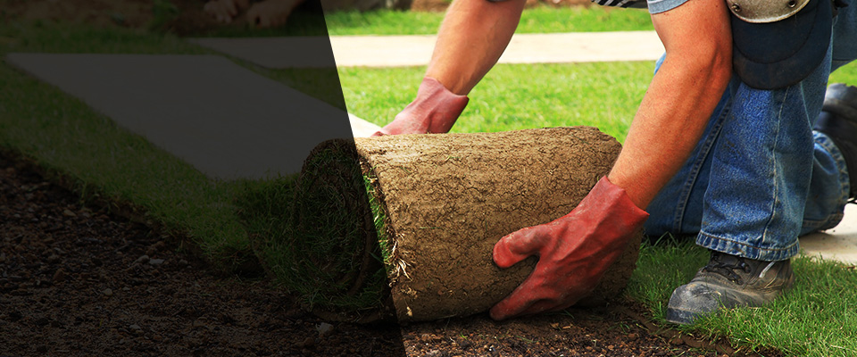 Louisville Landscapers